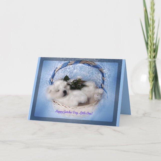 Tarjeta de saludo de Cachorro Samoyed: "Gotcha" (Anverso)