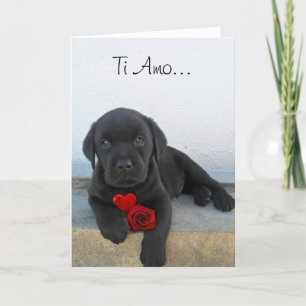 Tarjeta de saludo de cachorro Ti Amo Labrador
