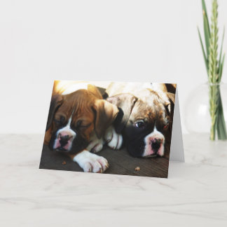 tarjeta de saludo de cachorros de sondeo