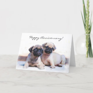 Tarjeta de saludo de Cachorros Pug de Aniversario 