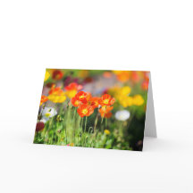 Tarjeta de saludo de campo de amapola