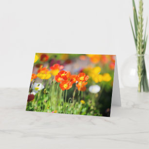 Tarjeta de saludo de campo de amapola