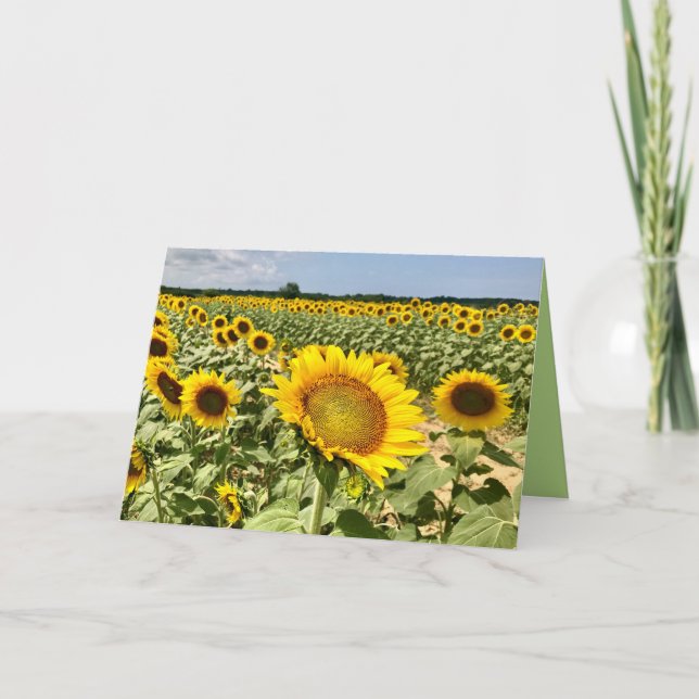 Tarjeta de saludo de Campo de Girasol (Anverso)