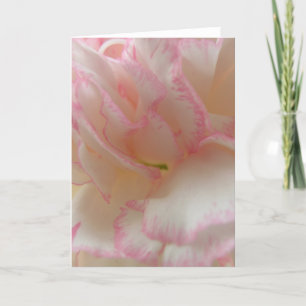 Tarjeta de saludo de canal rosa y blanco