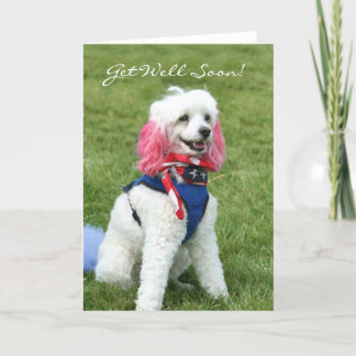 Tarjeta de saludo de caniche Get Well Soon