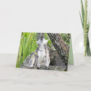Tarjeta de saludo de canto Lemur
