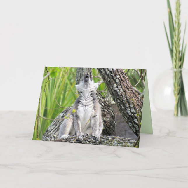 Tarjeta de saludo de canto Lemur (Anverso)