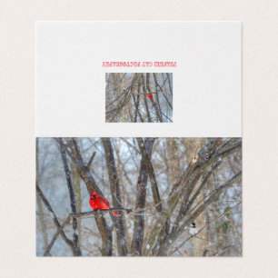Tarjeta de saludo de Cardenal y Chickadee