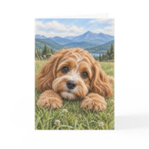 Tarjeta de saludo de Cavapoo