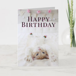 Tarjeta De Saludo De Cumpleaños Cute Cat In Socks