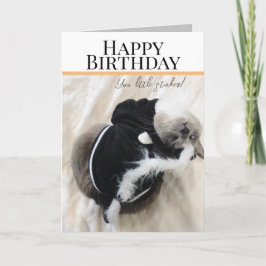 Tarjeta De Saludo De Cumpleaños De Un Gato Con Cos