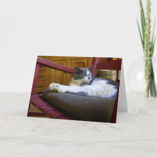 Tarjeta de saludo de cumpleaños / gato somnoliento