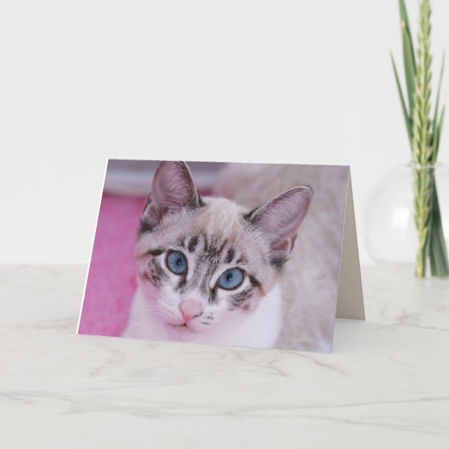 Tarjeta de saludo de cumpleaños SIAMÉS CAT KITTEN (Anverso)