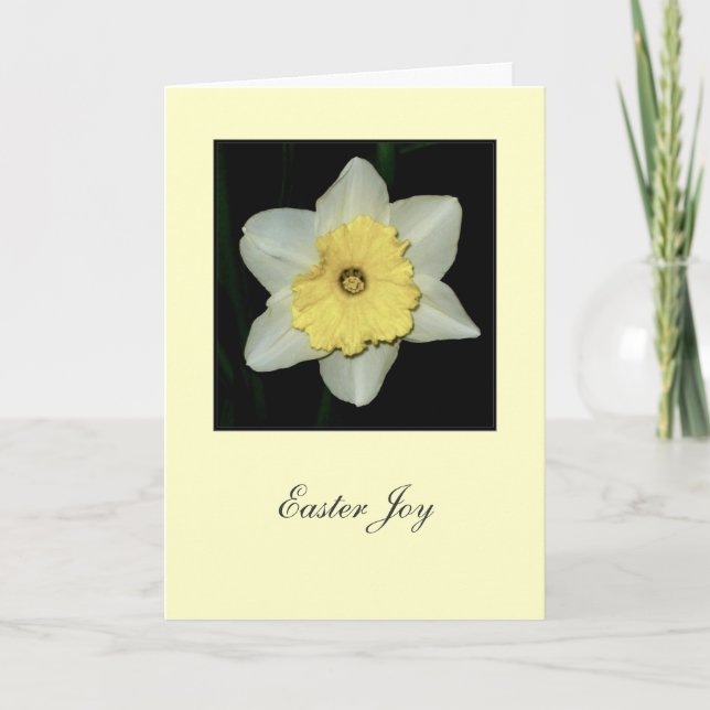 Tarjeta de saludo de Daffodil "Alegría de Pascua" (Anverso)