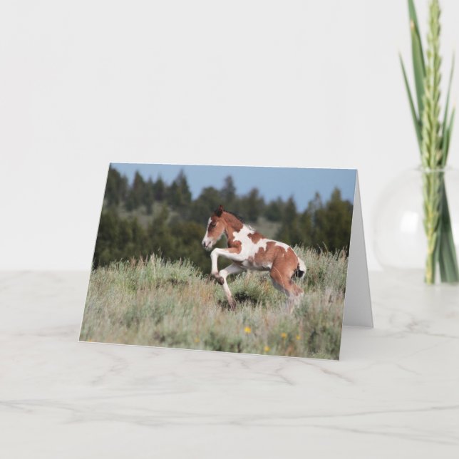 Tarjeta de saludo de Dance de Lluvia (Anverso)