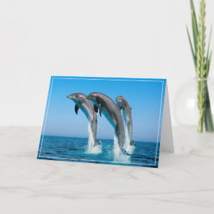 Tarjeta de saludo de delfines