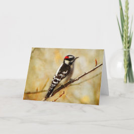 Tarjeta de saludo de Downey Woodpecker con textura