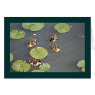 Tarjeta de saludo de Ducklings