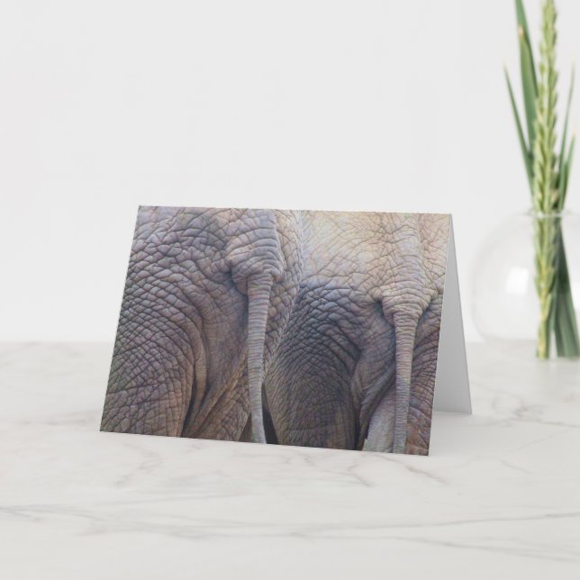 Tarjeta de saludo de elefante (Anverso)