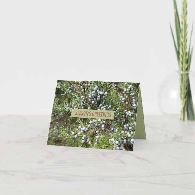 Tarjeta de saludo de feriado Juniper Berry (Anverso)