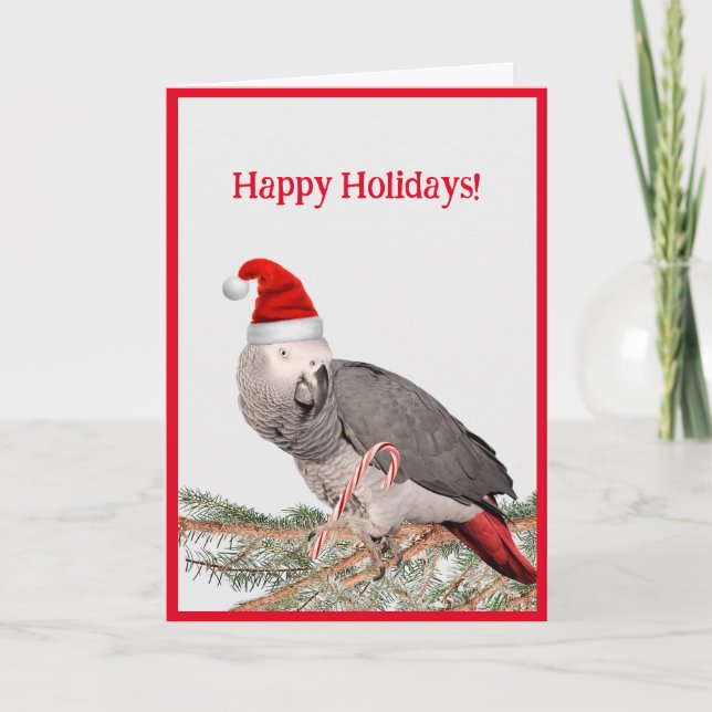 Tarjeta de saludo de festividad de loro gris afric (Anverso)