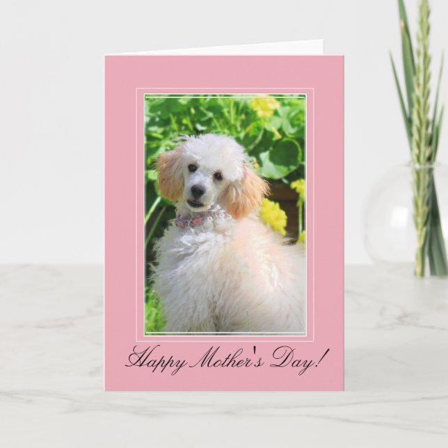 Tarjeta de saludo de fideos del Día de la Madre (Anverso)