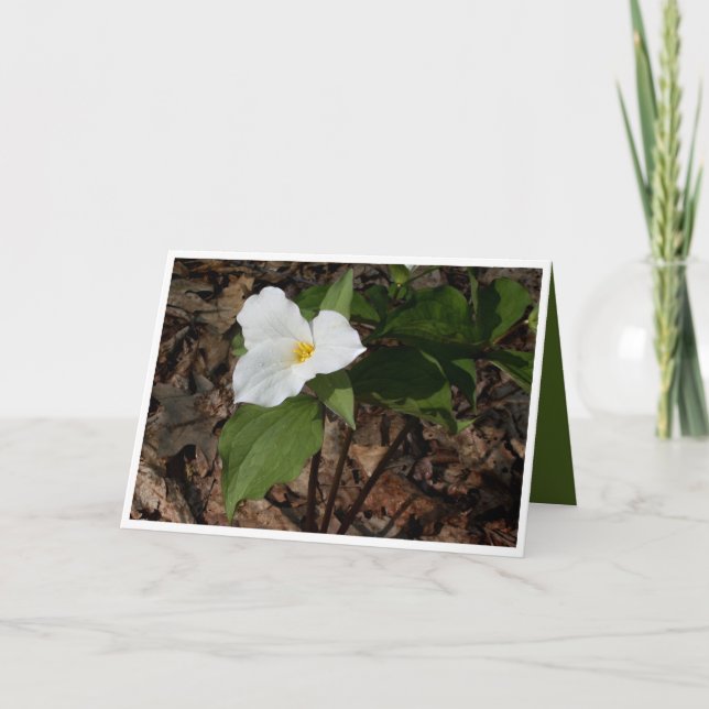 Tarjeta de saludo de flor filosófica trillium (Anverso)