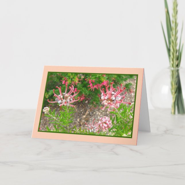 Tarjeta de saludo de Flores de Araña Rosa (Anverso)