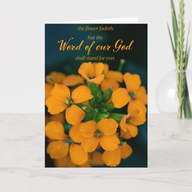 Tarjeta de saludo de flores de promoción (Anverso)