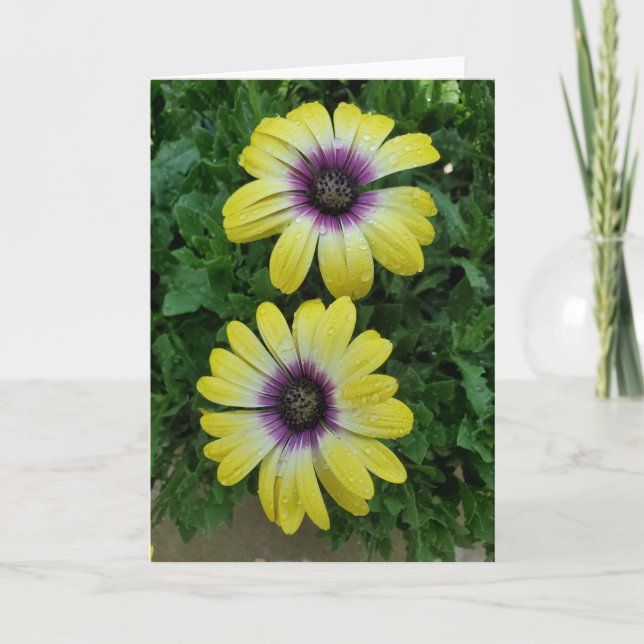 Tarjeta de saludo de flores de verano (Anverso)