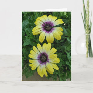 Tarjeta de saludo de flores de verano