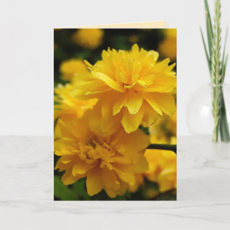Tarjeta de saludo de flores pequeñas amarillas