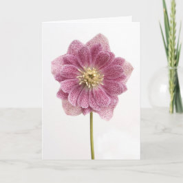 Tarjeta de saludo de flores Purple Lily