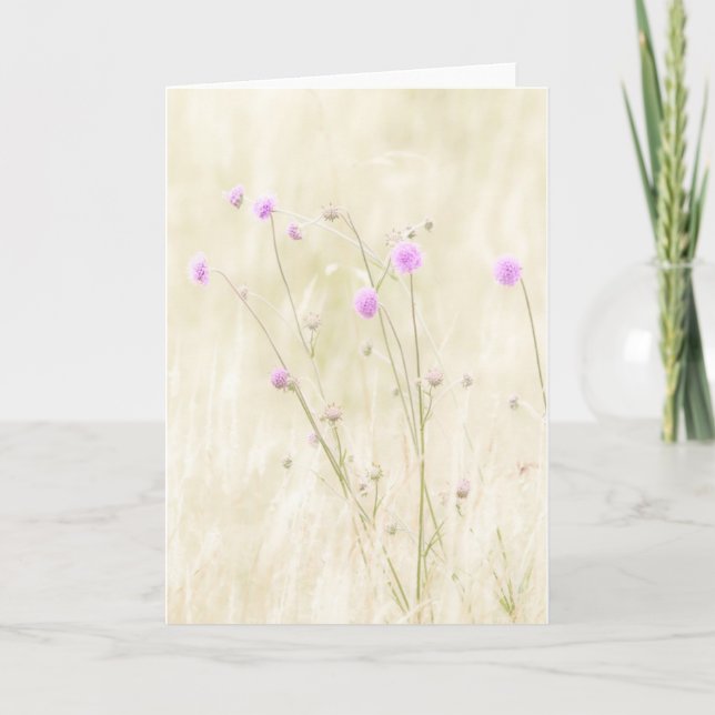 Tarjeta de saludo de Flores Silvestres (Anverso)