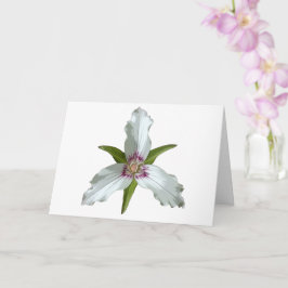 Tarjeta de saludo de flores silvestres Trillium Sp