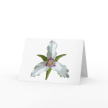 Tarjeta de saludo de flores silvestres Trillium Sp