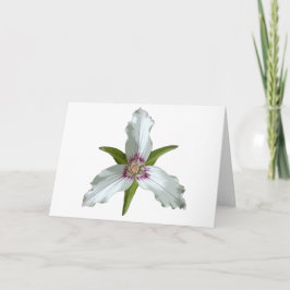 Tarjeta de saludo de flores silvestres Trillium Sp