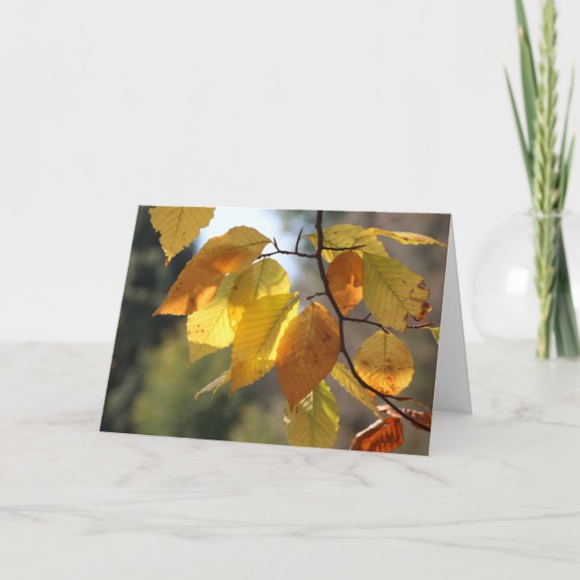 Tarjeta de saludo de Foliage de otoño (Anverso)