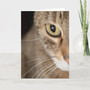 Tarjeta de saludo de foto de cara de gato en blanc