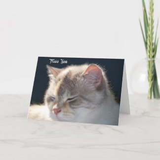 Tarjeta de saludo de foto de gato