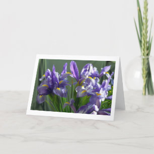 Tarjeta de saludo de fotos de flores de iris morad