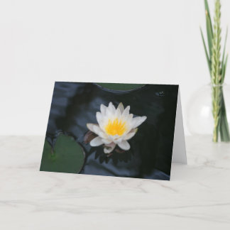 Tarjeta de saludo de fotos de flores "White Water