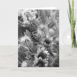 Tarjeta de saludo de fotos de las flores del desie
