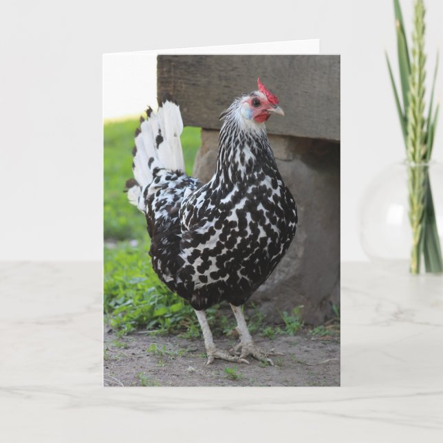 Tarjeta de saludo de gallo (Anverso)