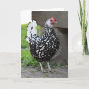 Tarjeta de saludo de gallo