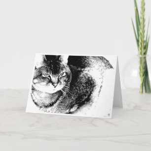 Tarjeta de saludo de gato