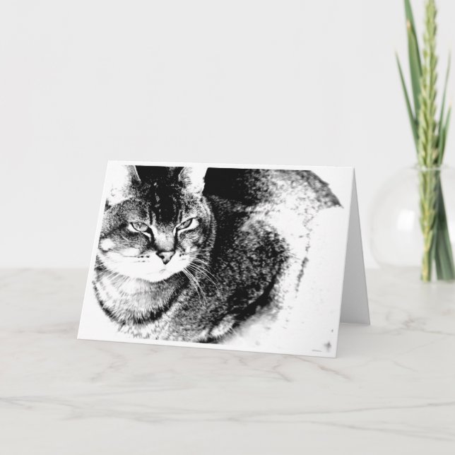 Tarjeta de saludo de gato (Anverso)