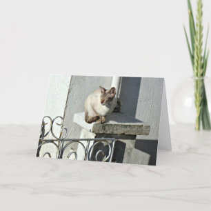 Tarjeta de saludo de gato