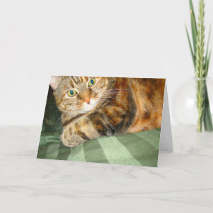 Tarjeta de saludo de gato