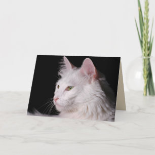 tarjeta de saludo de gato angora